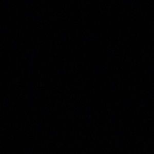 Meet your Posher, Jaylah